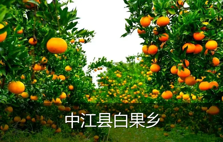 中江县白果乡