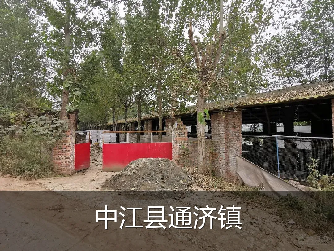 中江县通济镇