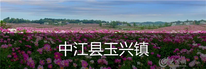 中江县玉兴镇